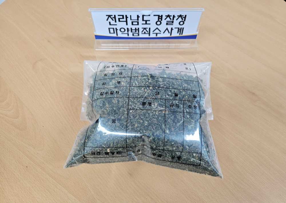 ▲압수물 사진(대마) ⓒ전남경찰청형사기동대(마약범죄수사계)