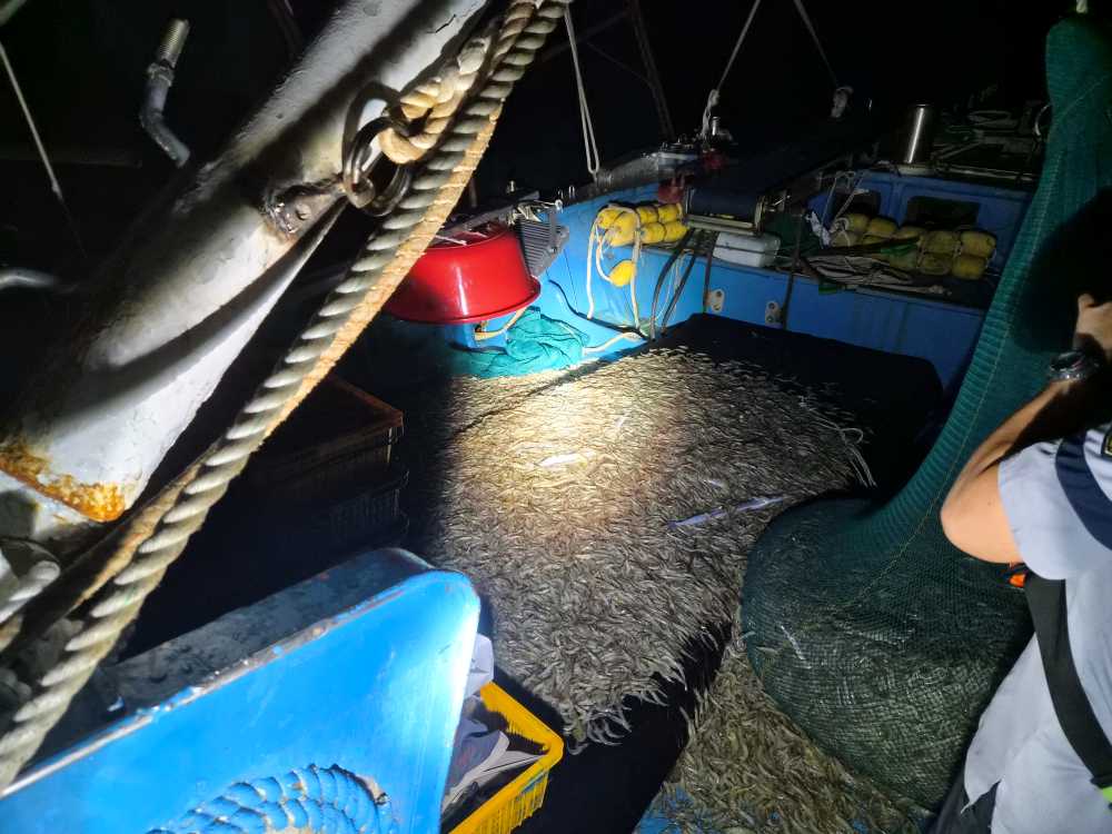 ▲ 불법어구로 포획된 어획물 ⓒ여수해양경찰서