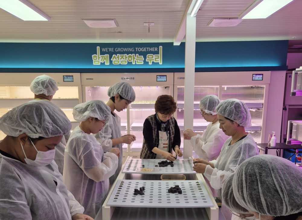 ▲‘꿈을 찾는 진로‧직업 도전활동’에 참여한 학생들이 18일 사회적 기업 ‘해피팜 협동조합’을 찾아 재배 실습을 하고 있다. ⓒ전라남도교육청