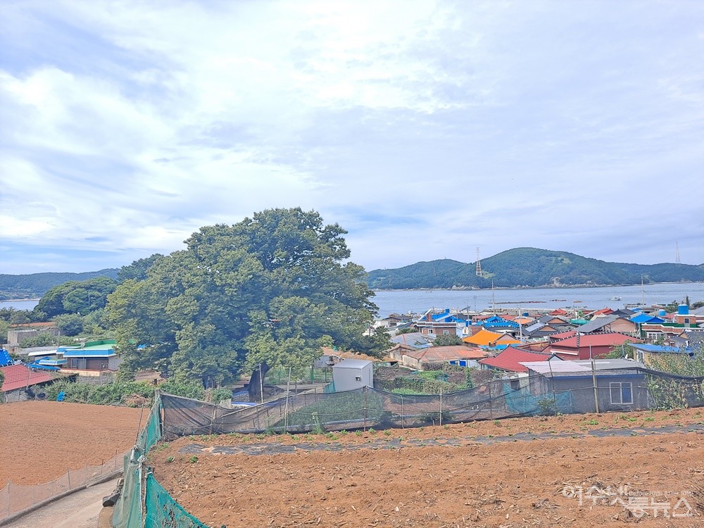 ▲ 300년 된 느티나무가 있는 횡간도 마을 풍경이다. ⓒ조찬현