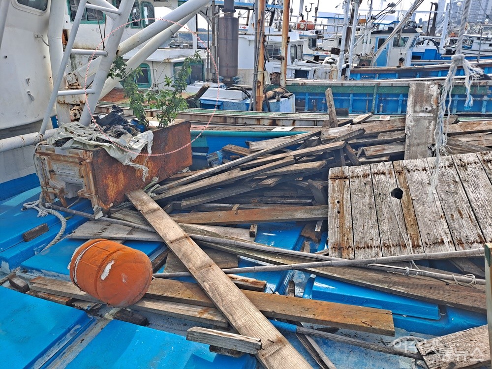 ▲ 여수 국동항 선박에 쌓인 쓰레기 더미에서 잡초가 자라고 있다. ⓒ조찬현