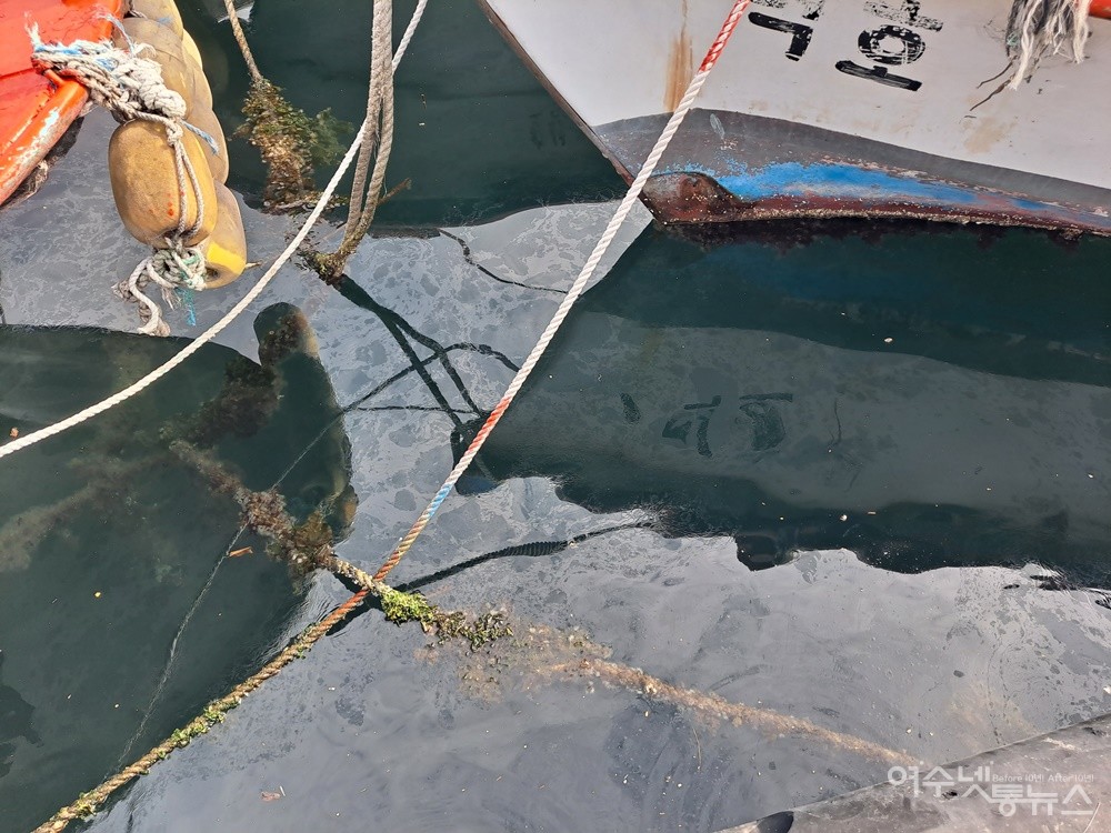 ▲ 국동항 바다에는 폐유통에서 흘러나온 기름띠가 보인다.  ⓒ조찬현
