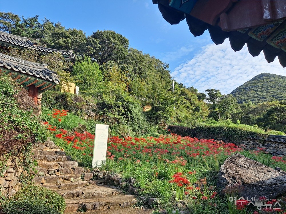 ▲ 흥국사 팔상전 부근에도 꽃무릇이 아름답게 피었다. ⓒ조찬현
