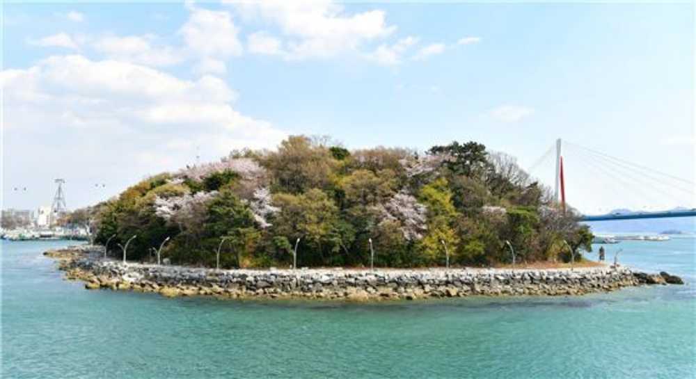 ▲ 장군도의 벚꽃나무 ⓒ박근세