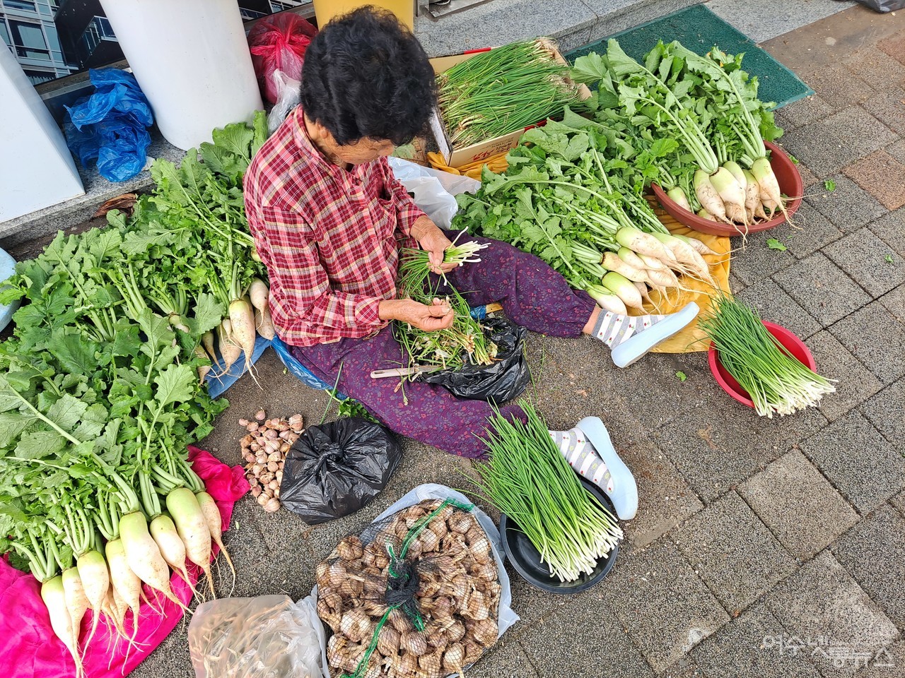 ▲ 여천에서 직접 무를 재배해 들고 나왔다는 한 상인이다. ⓒ조찬현