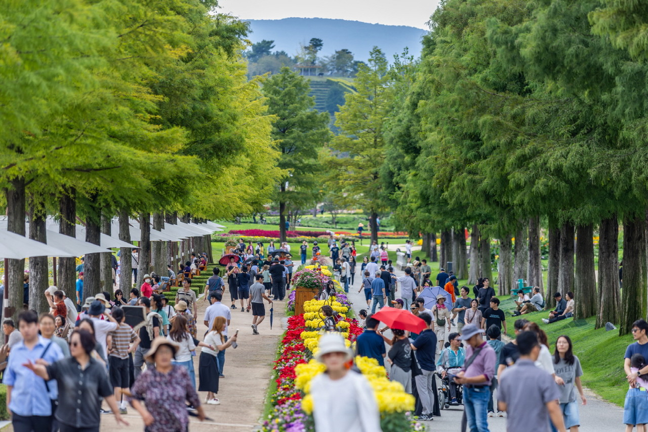 ▲ 순천만국가정원 낙우송길 관람객들 ⓒ순천시