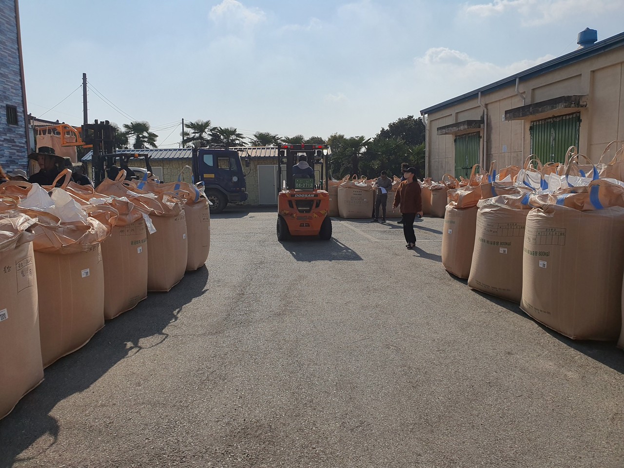 ▲ 공공비축미 매입 현장(2024년)-강진 ⓒ전라남도