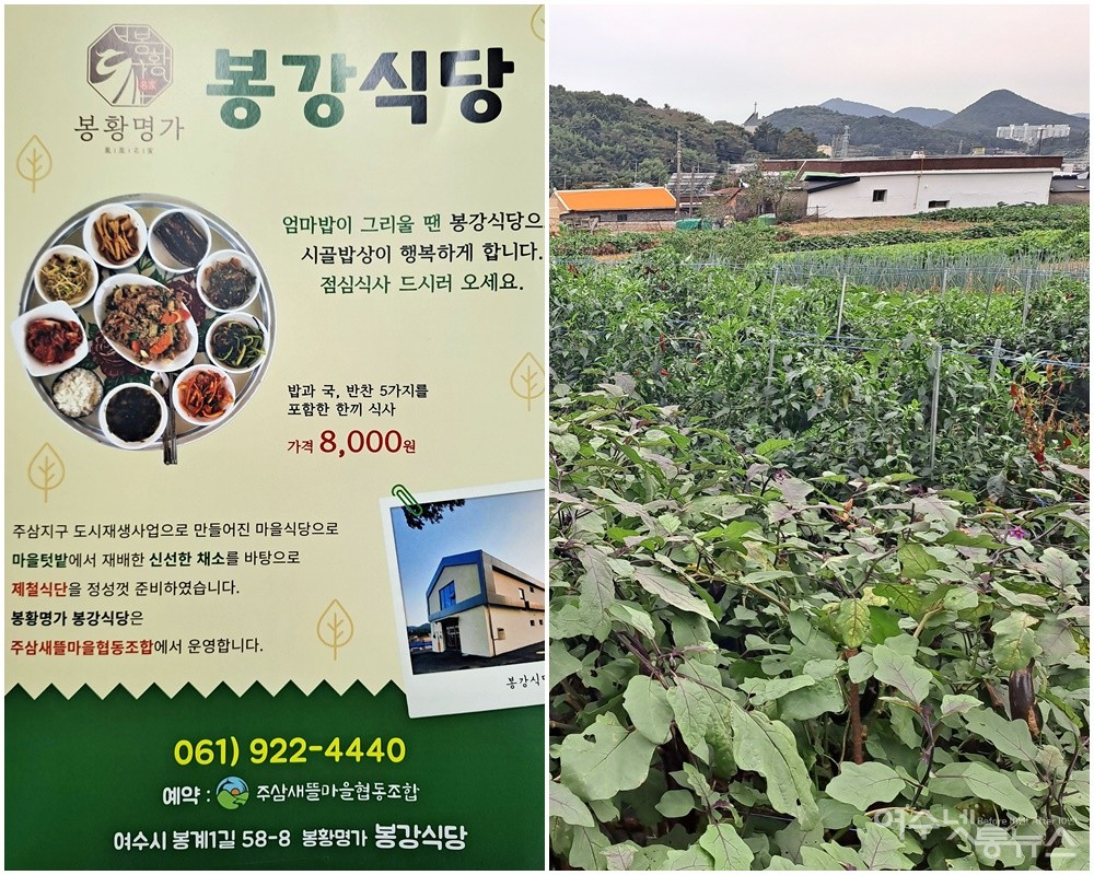 ▲ 여수 주삼동 봉강식당 점심 식사 메뉴와 봉강식당 식재료를 키우는 마을 텃밭 전경이다. ⓒ조찬현