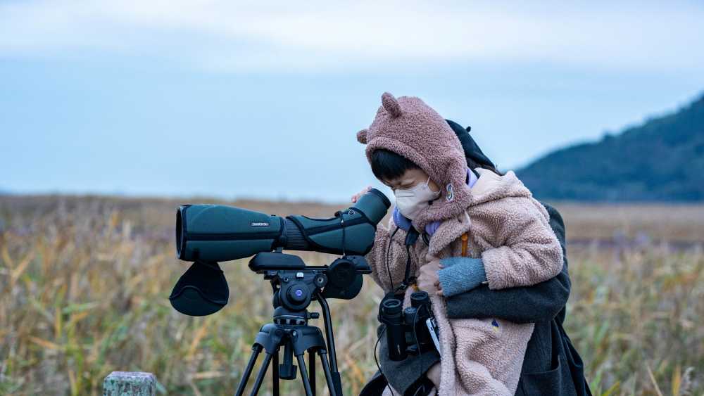 ▲ 탐조여행 참가자가 순천만의 갈대밭에서 철새를 관찰하고 있다. ⓒ순천시