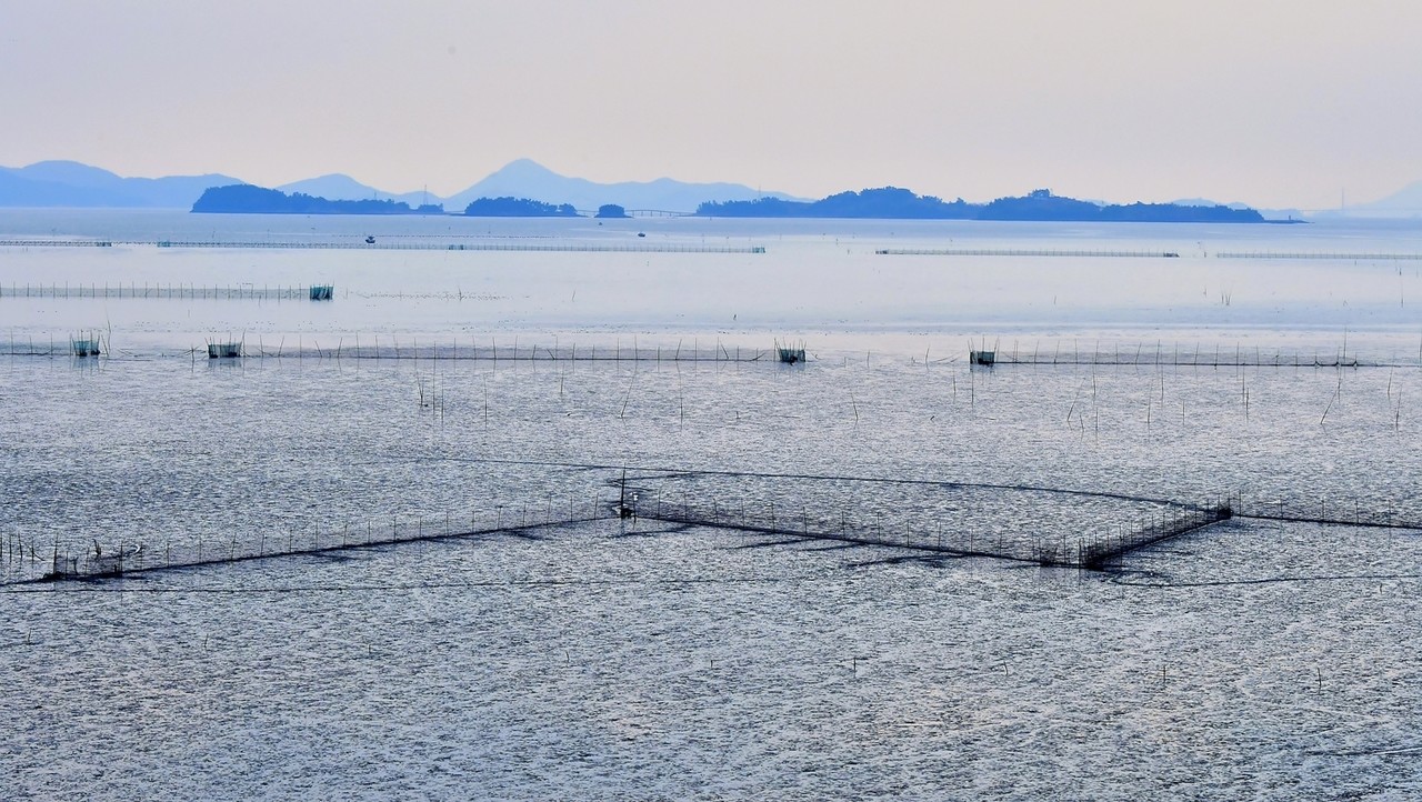 ▲ 여자만의 여자도 ⓒ박근세