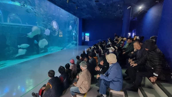 ▲ 여수시지회 노인공익활동 참여자 문화활동 ⓒ대한노인회