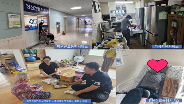 ▲ 일상생활지원 등 사회서비스