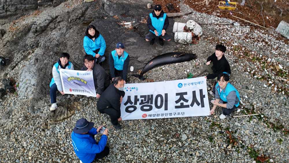 ▲ 3부 상괭이, 바다의 숨 ⓒ박근호