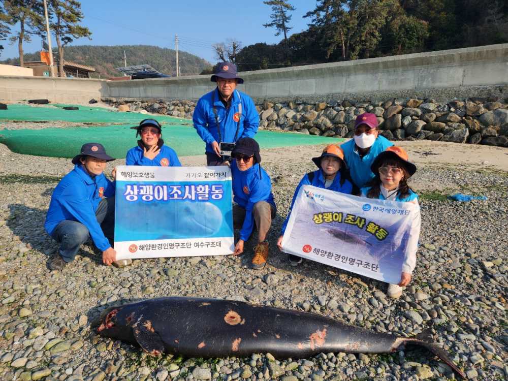 ▲ 3부 상괭이, 바다의 숨 ⓒ박근호