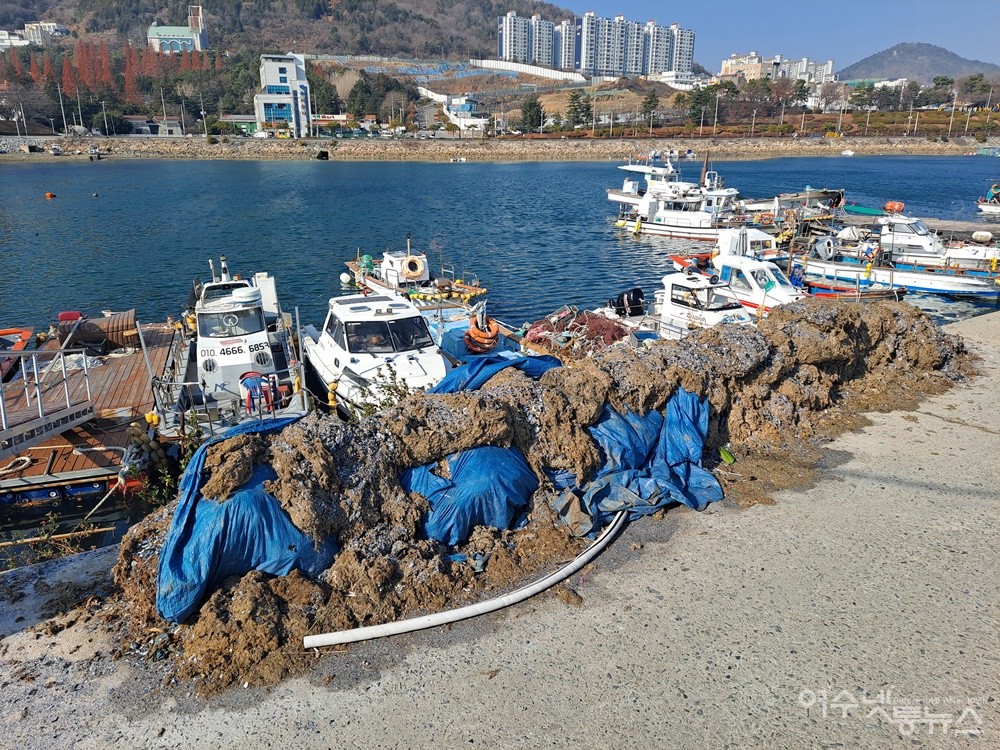 ▲ 선소대교 좌측 홍합 작업장 진입도로는 홍합을 손질하고 남은 폐기물이 가득 쌓여있다. 부패한 폐기물에서 악취가 뿜어져 나온다.ⓒ조찬현