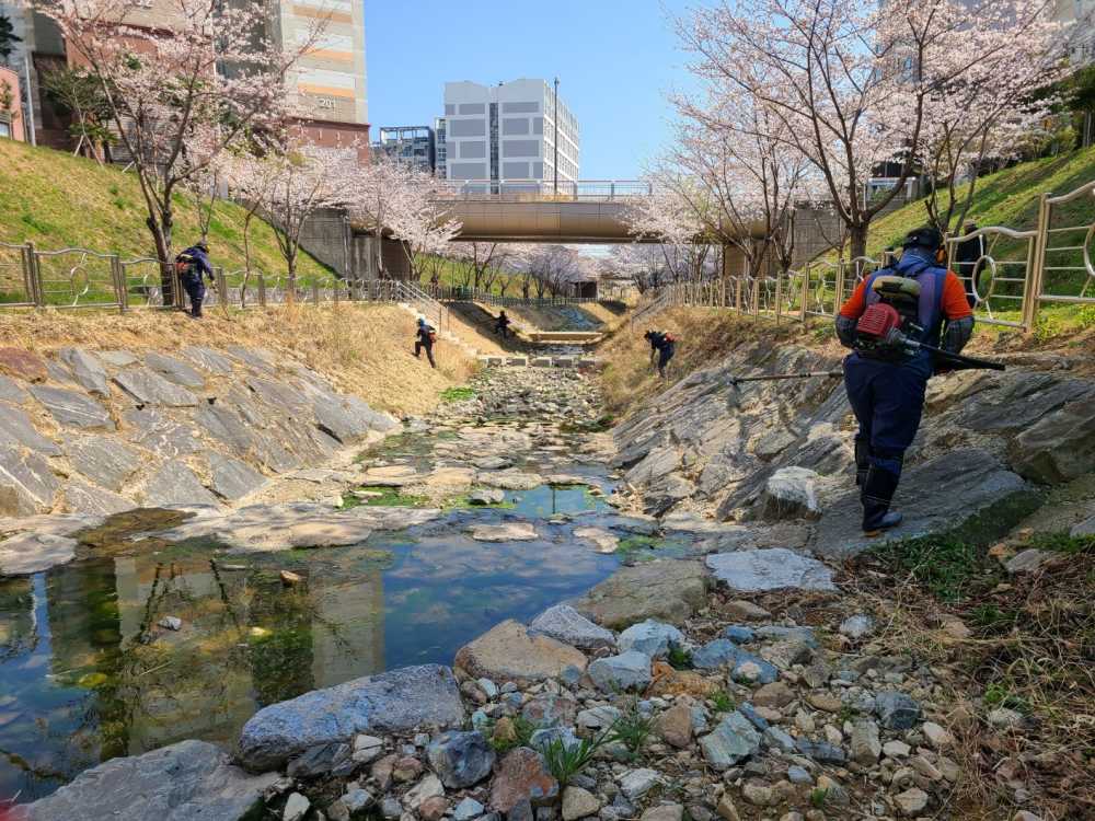 ▲노인역량활용 선도모델 사업 2년 연속 성과 ⓒ여수시