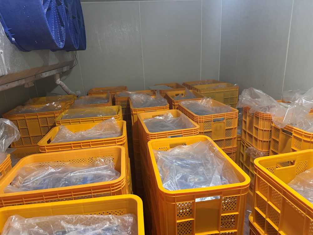 ▲ 국내산으로 둔갑시킨 중국산 재첩 ⓒ여수해양경찰서