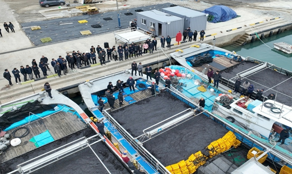 ▲ 지난 19일 여수 낭도 물김 위판장에서 초매식이 열렸다. ⓒ여수시