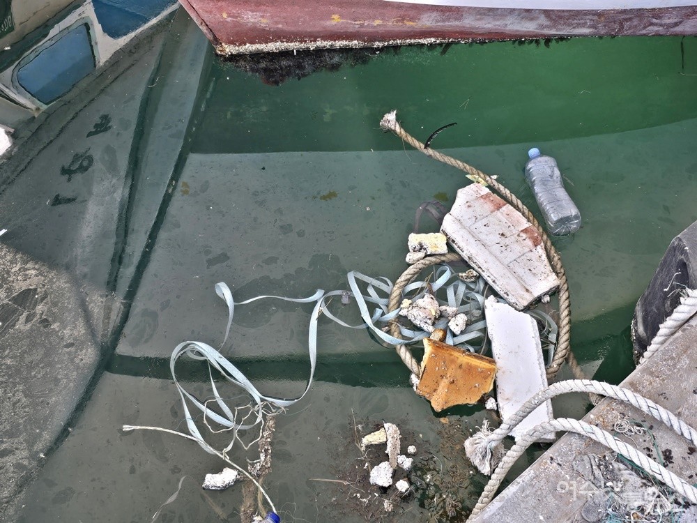 ▲ 국동항 바다에 떠 있는 쓰레기와 기름띠다. ⓒ조찬현