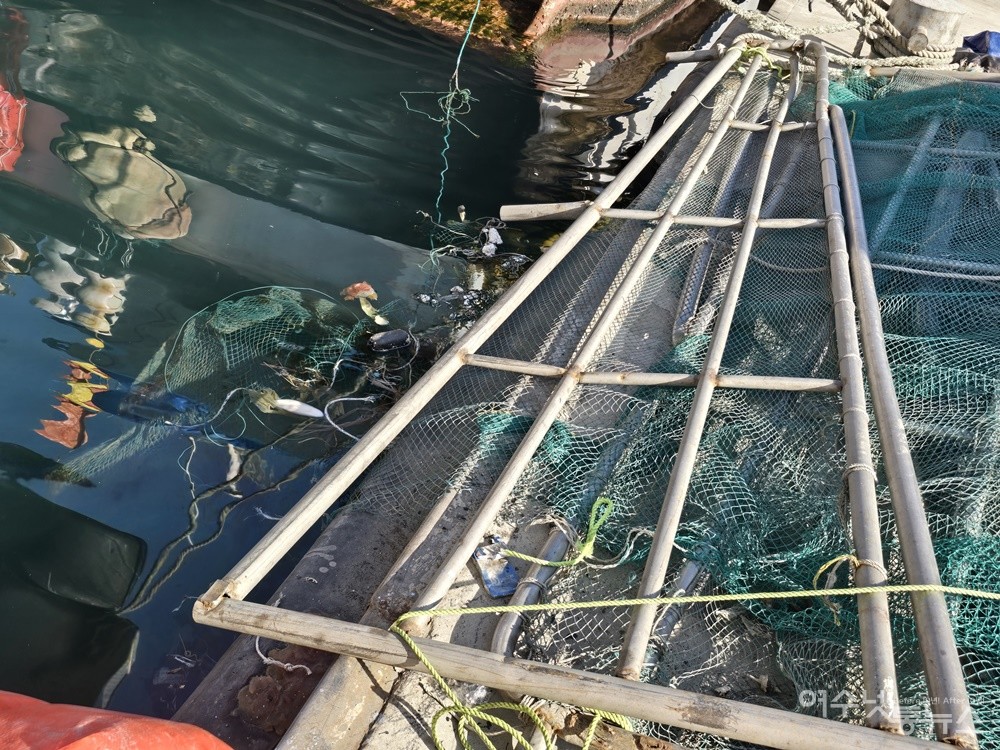 ▲ 바다에는 쓰레기가 물양장에는 적치물이 겹겹이 쌓였다. ⓒ조찬현