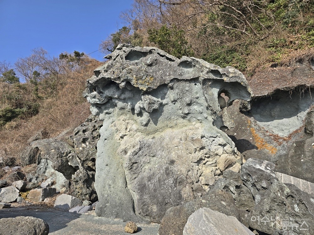 ▲ 여수 돌산 성두마을 해안 풍화혈(타포니)이다. ⓒ조찬현