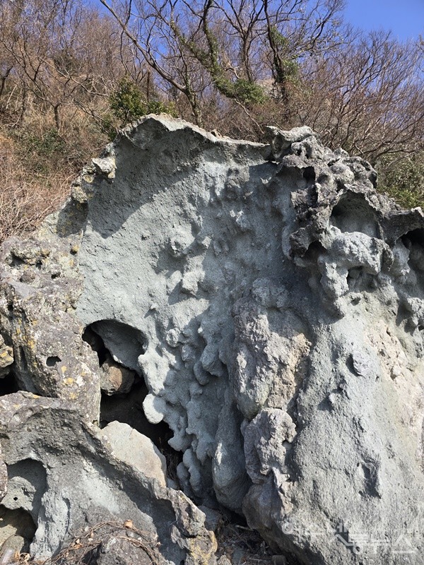 ▲ 여수 돌산 성두마을 해안 풍화혈(타포니)이다. ⓒ조찬현