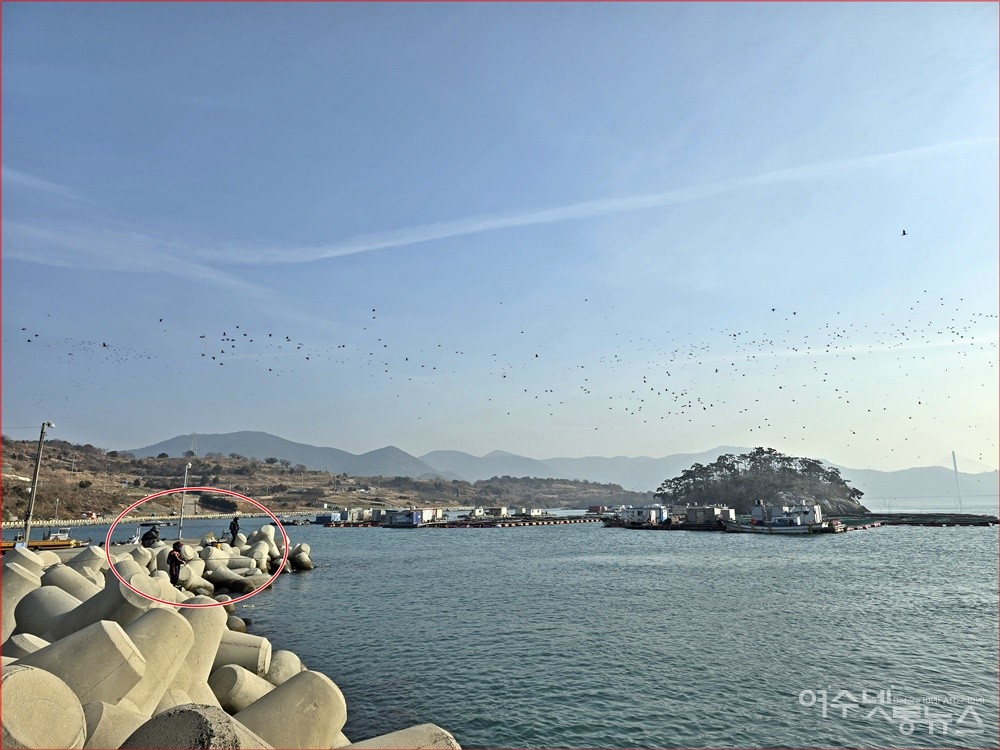 ▲ 여수시 돌산읍 송도항 앞 테트라포트 위에서 낚시객들이 낚시를 하고 있다. ⓒ조찬현