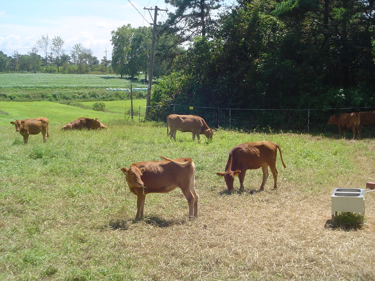 ▲ 축산시험장 ⓒ전라남도