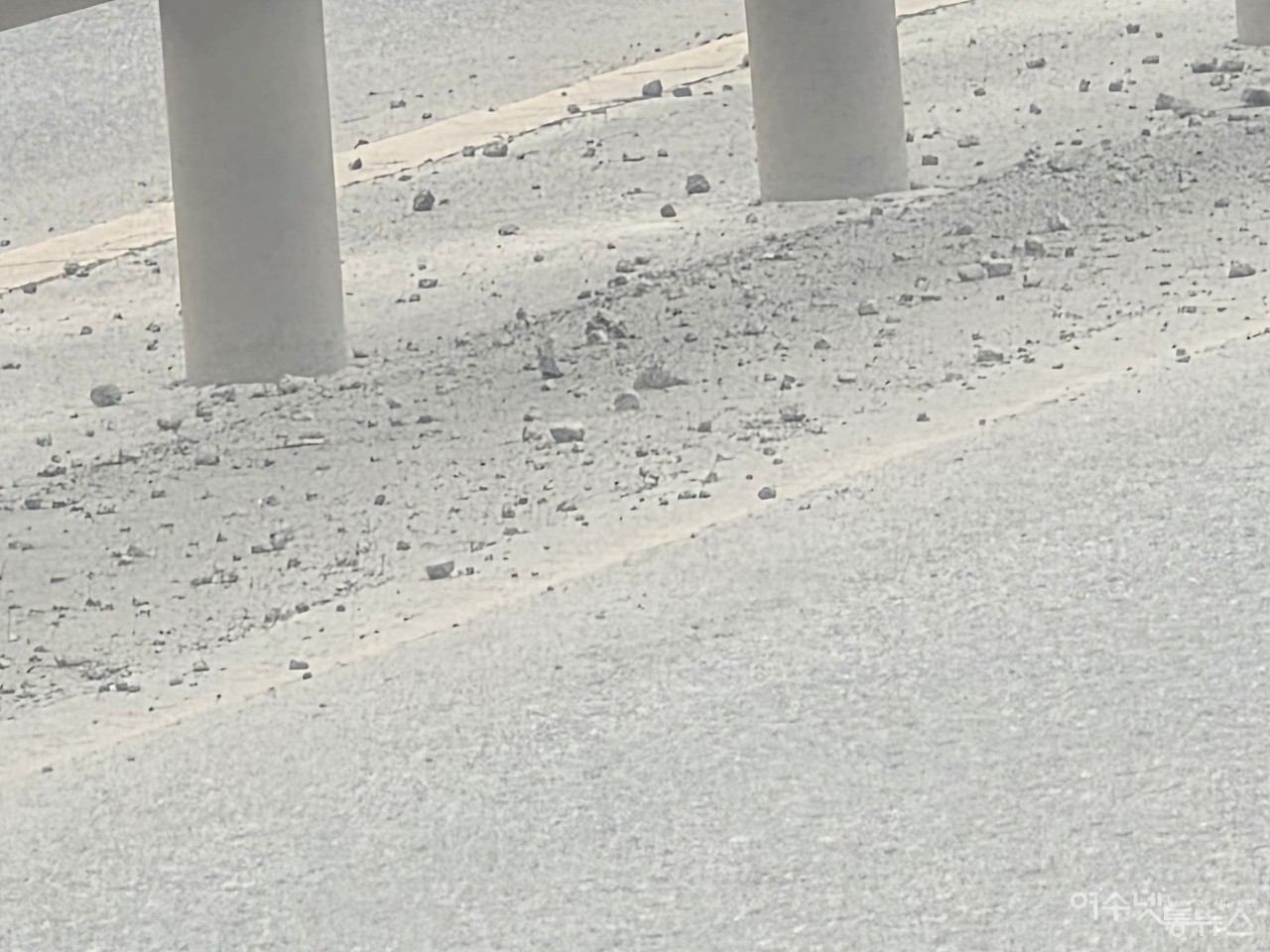 ▲ 도로 가장자리에 모여 있는 슬러그들로 차량파손이 우려된다 ⓒ심명남