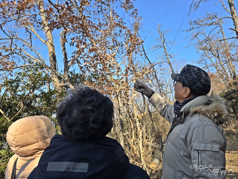 ▲ 김종길 숲해설사가 감태나무에 대해 설명하고 있다. ⓒ조찬현