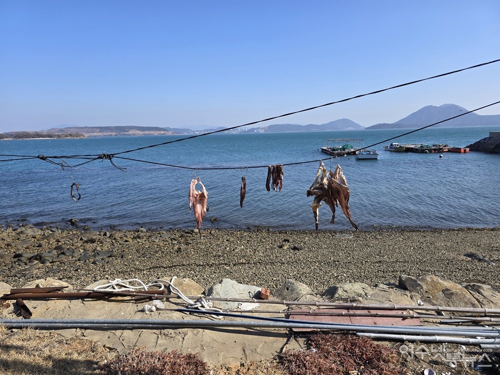 ▲ 섬에서 갯바람에 생선을 말리고 있는 풍경이다. ⓒ조찬현