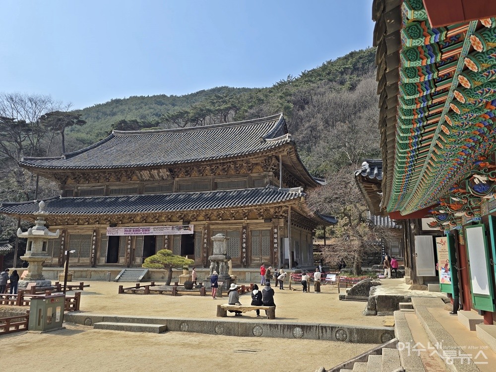 ▲ 전남 구례 화엄사 각황전 (우측 홍매화나무) ⓒ조찬현