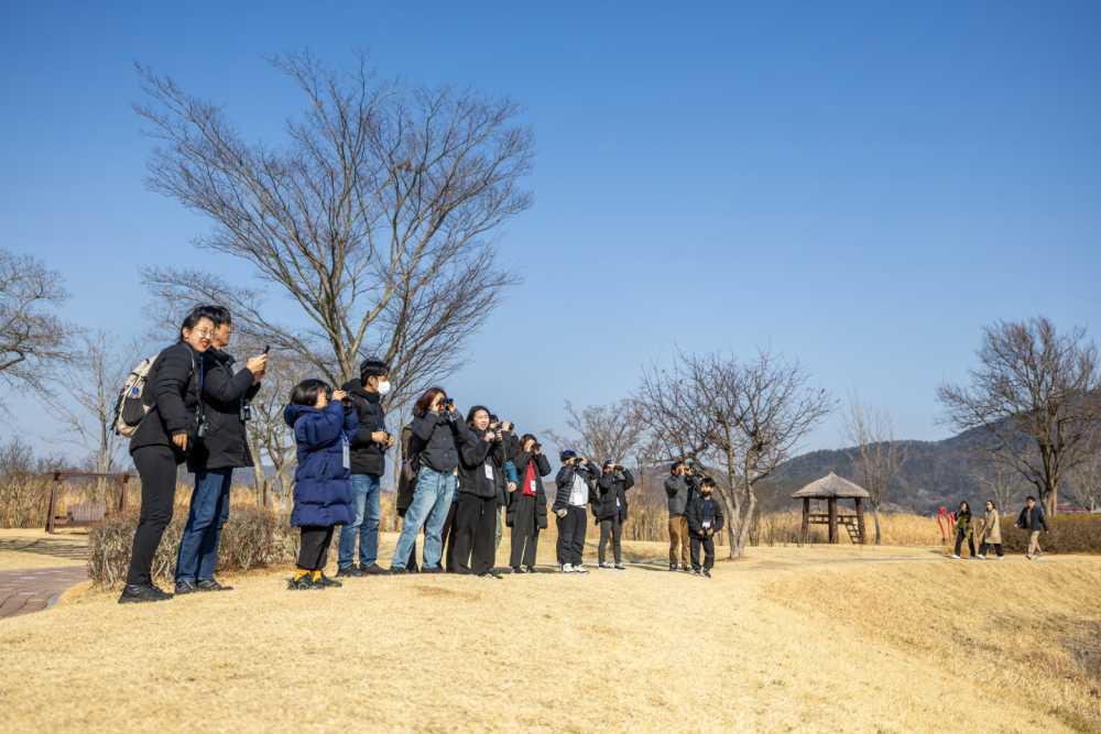 ▲ 순천만에서 탐조 프로그램 참가자들이 탐조활동을 하고 있다. ⓒ순천시