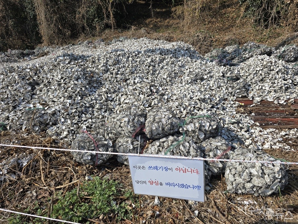 ▲ 여수 소경도에 방치된 불법 쓰레기 ⓒ조찬현