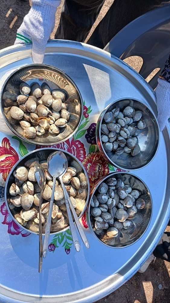 ▲ 여자도는 새꼬막 주산지다. 참석자들에게 주민들이 새꼬막을 대접했다.​ ⓒ오문수