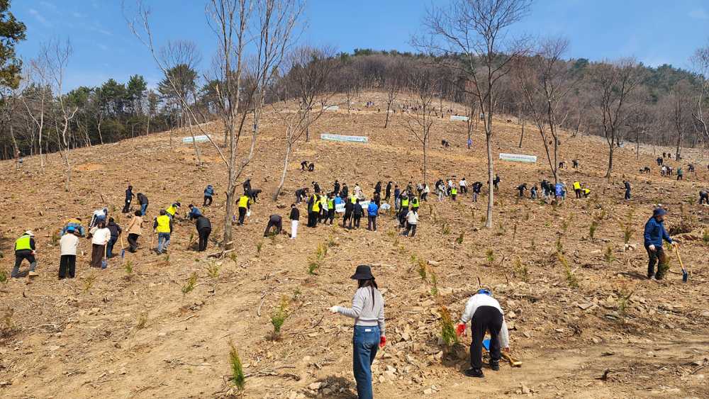 ▲제81회 식목일 나무심기 행사 성황리 개최 ⓒ여수시