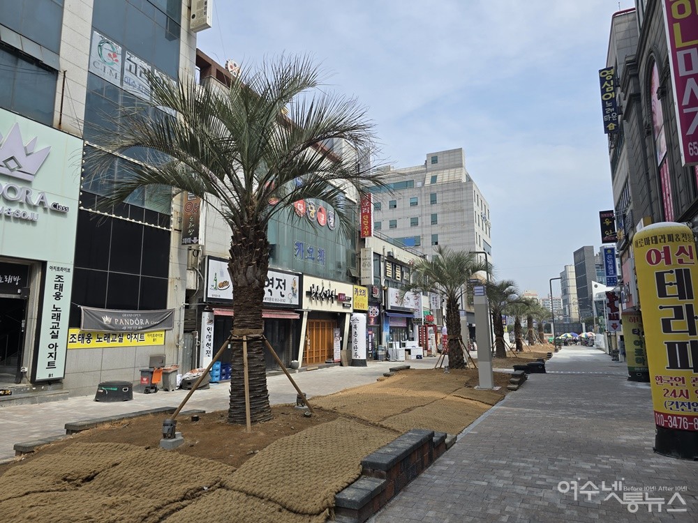 ▲ 여수 여문 문화의 거리 재정비공사 현장에 식재된 야자수  ⓒ조찬현