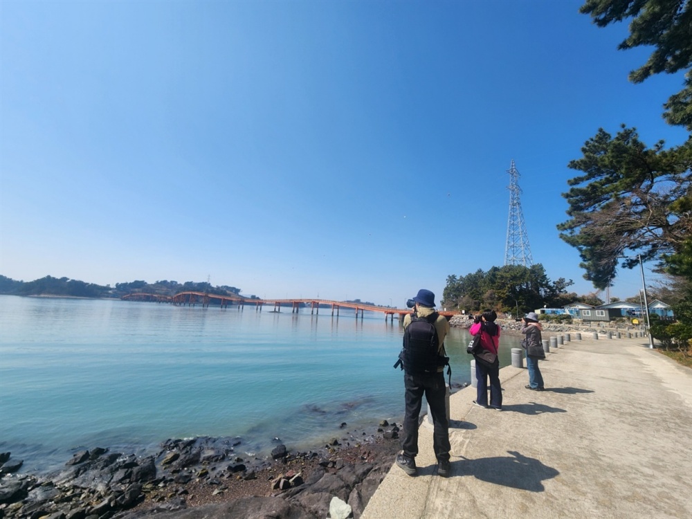 ▲ 소여자도에서 멀리 대여자와 붕장어다리를 바라보며 일행의 사진찍는 뒷모습 ⓒ김용자