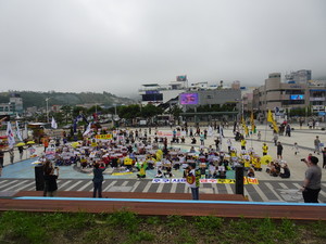 “정부 믿을 수 없어... 이순신이 지킨 바다, 우리가 지킨다”